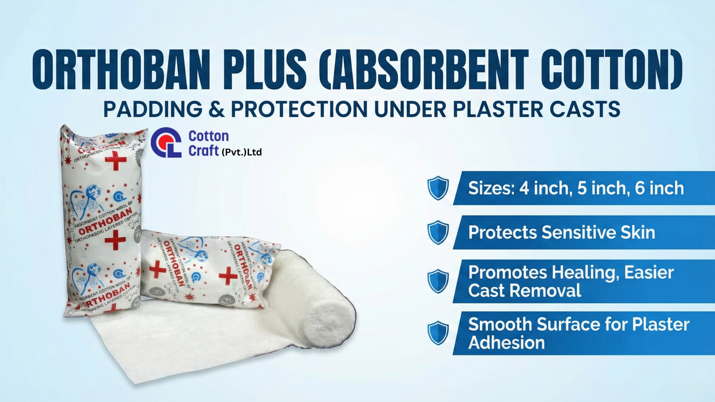 Orthoban Plus (Absorbent cotton)